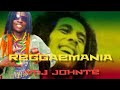 💚💛❤️ REGGAE MANIA VOL 1 // VDJ JOHNTE