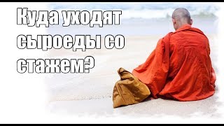 Куда деваются сыроеды со стажем? #сыроедение #прозрение