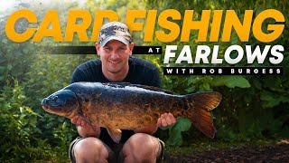 CARP FISHING at Farlows with Carp Angling Pro Rob Burgess | Carp Rigs | Mainline Baits Carp Fishing