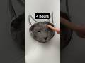 Hyperrealistic cat drawing 🐱