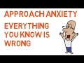 Approach Anxiety - Everything You Know Is Wrong