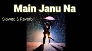 Main Janu Na (Slowed & Reverb) arjuna harjai, jotika gandhi