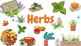 Herbs Vocabulary || Learn Herb Names with their Pictures || Herb Names in English || Learn English |