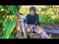 Cooking Mangut Big Pomfret and Picking Papaya Leaves in the Garden | Stir-fried Papaya Leaves,