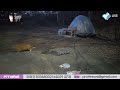 live 초보집사의 🏡love house🏠꾸미기 😽깜이는 젖소😻빵이는 치즈🙀콩이는 고등어🐈 서울구치소 앞 수감 22일차 윤석열 빨리 파면 사형만이 답이다 이재명tv 구독