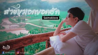 Saimoklove (สายหมอกบอกฮัก) โฮมสเตย์น่ารัก บรรยากาศดี วิวงาม l EP.33  l เที่ยวให้คนอิจฉา