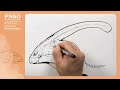 wyatt the parasaurolophus 1 the head learn to draw dinosaurs with zhao chuang