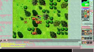 Tibia Where To hunt and Level Up Fast