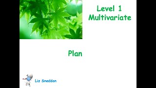 level 1 multivariate plan