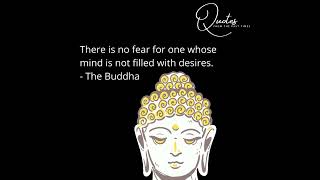 Buddha Quotes - There Is No Fear For One Whose
