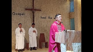 2024 Nov 12 Luzon Health Care Summit     Holy Eucharist with Fr  Noeh