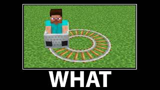 WAIT WHAT - Minecraft #29