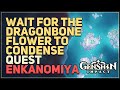 Wait for the Dragonbone Flower to condense Genshin Impact