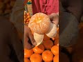 pertanian modern begini proses panen jeruk mandarin di china