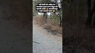 माझ्या बायकोचे नखरे पण असे असतात 😂😂#viral #shorts