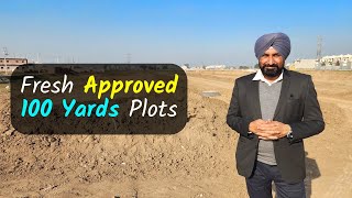 Fresh Approved 100 Yards Plots for PG Income Just Next to Chandigarh University Kharar