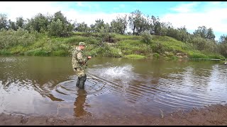 РУЧЕЙ КИПИТ ОТ РЫБЫ. Начался жор щуки, рыбалка мечты, которая не отпускает!!!