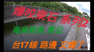 瞎趴 蝦竿 前打  嘉義釣點 爆釣東石 台17線 路邊就讓你 爆桶 太跨張 海吳郭魚 黑公 一樣 超級多😓