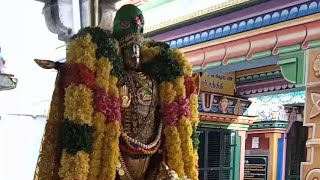 மதுரை ஸ்ரீ ஸ்ரீ நிவாஸ பெருமாள் திருக்கோவில் பவித்ர உத்ஸவம் கெருட சேவை