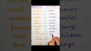 Singular \u0026 Plural | Vocabulary | ELT | Grammar rules || Let's Learn English Language