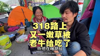 爱情故事-云南姑娘拦车捡了一个安徽小伙结伴去拉萨，