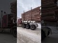 load of logs trucker logging viral shorts