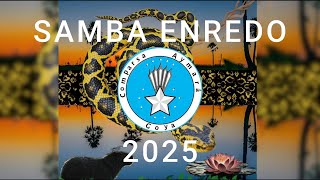 Samba Enredo 2025 - \