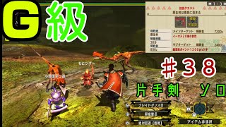 【MHXX】モンハンダブルクロス　スイッチ版　G級☆☆片手剣ソロ　イーオス２０匹