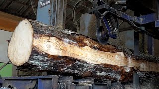 Amazing Transformation of Gigantic Trees into Building Material  (Sawmill Wood Process)