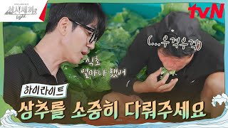 Why is this like this...? How Hai-jin wash lettuce #ThreeMealsADayLight