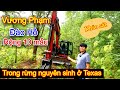 Vương Phạm Đào Hồ Rộng 10 mẫu Giữa Rừng Nguyên Sinh ở Texas