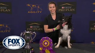 WATCH: Best of 2021 Masters Agility Championships from Westminster Kennel Club |