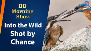 DD Morning Show | Into the Wild | Shot by Chance | 20th November 2024