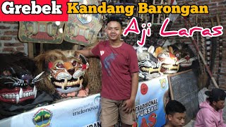 /grebek kandang barongan aji laras