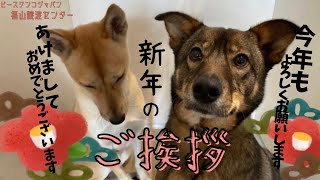 新年のご挨拶【福山譲渡センター】