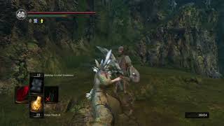 SCARICARE INFINITA DARK SOULS BUG
