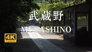 【Musashino, Tokyo 4K】Healing Japanese Landscape