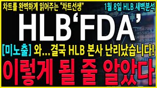 [HLB 에이치엘비]\