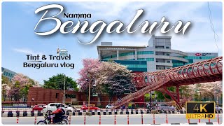 Bengaluru turns pink |  #cherryblossoms | KR Puram Hanging Bridge | Namma Metro| #Bengaluru vlog |4K