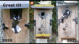 Nestbox no. 6 used in different years by  #greattit 2020 and #piedflycatcher 2022