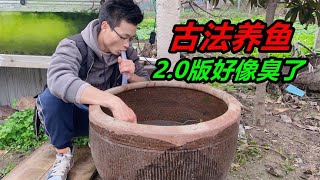 當初用砂石改造的魚缸，曆經風雨8天時間無人打理，會變成什麽樣  #古法养鱼 #观赏鱼 #水族