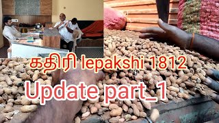 கதிரி lepakshi விதை_ update part_1