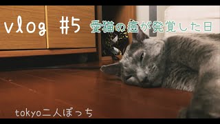 [猫vlog] 愛猫のガンが発覚した日[悪性リンパ腫]