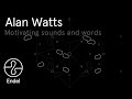 Alan Watts - Wiggly Wisdom (Full Album Player) | Endel