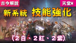 《天堂M》新系統『技能強化』登場！(白技2個、紅技2個、紫技2個)