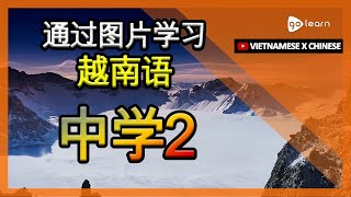 通过图片学习越南语|越南语词汇中学2 | Golearn