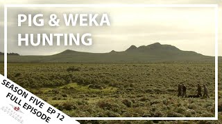 Hunting Aotearoa Series 5 EP12 Pig & Weka hunt, Chatham Islands