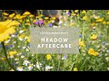 Preparing My Wildflower Meadow For Winter | After Bloom Care | Seed Saving 🐝🦋