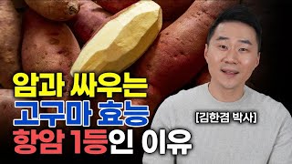 항암 효과200% 매일 고구마에 이걸 먹었더니 당뇨, 암덩어리는 사라지고 비타민이 풍부해져 혈압은 잡아줍니다.