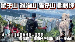 蝌蚪坪 貓仔山 雞胸山 獅子山［香港郊遊行山好去處]4K航拍  無意間探訪八仙徑上一座差啲被移為平地既八仙廟｜蝌蚪坪小山峰上包覽九龍新界群山｜小小難多多趣九龍至沙田行山路線